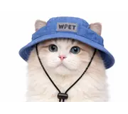 Головні убори для домашніх тварин