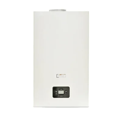 Газовый котел FERROLI DIVA D C24 (дымоходный)