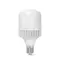 LED лампа VIDEX A118 50W E40 5000K