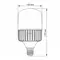 LED лампа VIDEX A145 100W E40 5000K