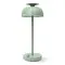 LED лампа настiльна з акумулятором VIDEX VL-TF23G 8.5W 4000K+RGB Green