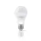 LED лампа TITANUM A60 12V 10W E27 4100K