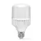 LED лампа VIDEX A80 30W E27 5000K