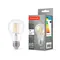 LED лампа TITANUM Filament A60 7W E27 4100K