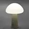 LED лампа настiльна з акумулятором VIDEX VL-TF25BG 4W 3000-6500K+RGB Beige