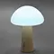 LED лампа настiльна з акумулятором VIDEX VL-TF25BG 4W 3000-6500K+RGB Beige