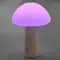 LED лампа настiльна з акумулятором VIDEX VL-TF25BG 4W 3000-6500K+RGB Beige