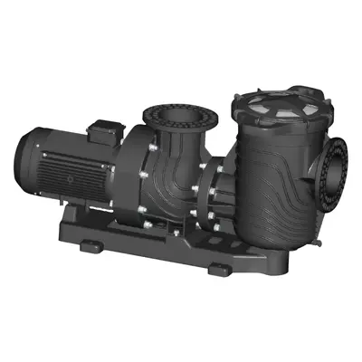 Насос Aquaviva LX SEQ1500 (380 В, 168 м3/год, 15 HP) Насос Aquaviva LX SEQ1500 (380 В, 168 м3/год, 15 HP)