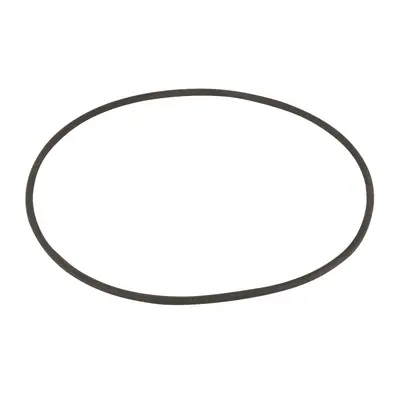 Прокладка-кільце оглядового люка фільтра SSB Kripsol RSS120.R/ R1202120.4 (R3000202)