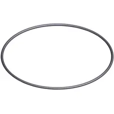 Ущільнююче кільце під кришку 6-позиційного крана Hayward (2 ")