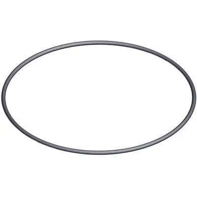 Ущільнююче кільце під кришку 6-позиційного крана Hayward (2 