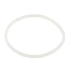 Ущільнювальне кільце Emaux хлоратора SSC 2021044