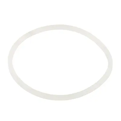 Ущільнювальне кільце Emaux хлоратора SSC 2021044