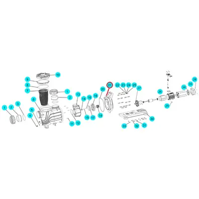 Фланець насоса SLP Aquaviva, (A02220161 №21)