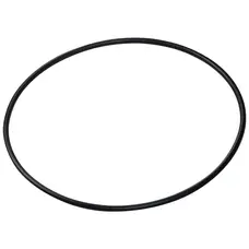 Ущільнювальне кільце корпусу насоса Aquaviva BJZ (№ F02010097 №6)