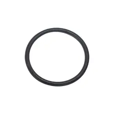 Ущільнювальне кільце Hayward (SX0220Z2)