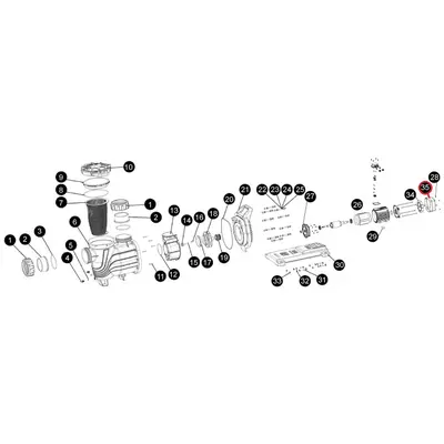 Кришка вентилятора для насоса Aquaviva SLP300-400 (B17010056 №47)