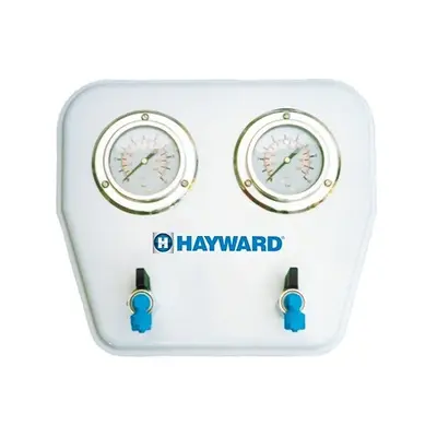 Манометр здвоєний Hayward MP25.B (210350025000)