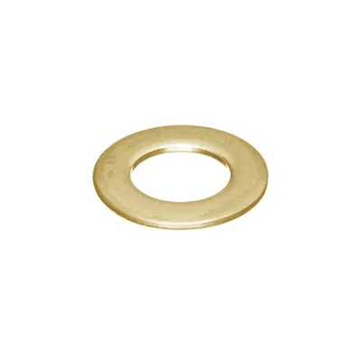 Шайба жиклера Ф5