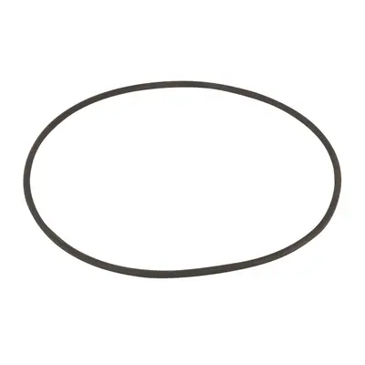 Ущільнююче кільце дифузора насосу Aquaviva SWIM 025-150