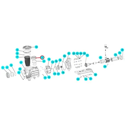 Гайка з'єднувальна насоса SLP, (A31020025 №1)