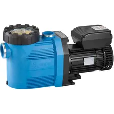 Насос Speck BADU Prime Eco VS (220 В, до 22 м3/год, 1.1 кВт), зі змінною швидкістю