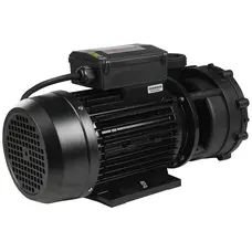 Насос для гідромасажного басейну Capri WP200-II