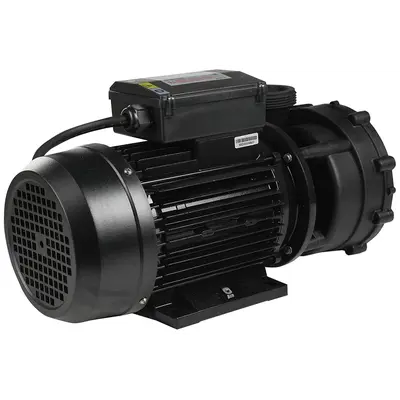 Насос для гідромасажного басейну Capri WP200-II