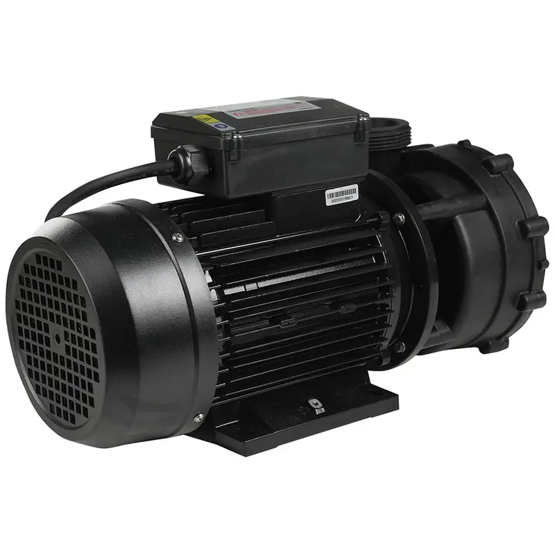 Насос для гідромасажного басейну Capri WP200-II