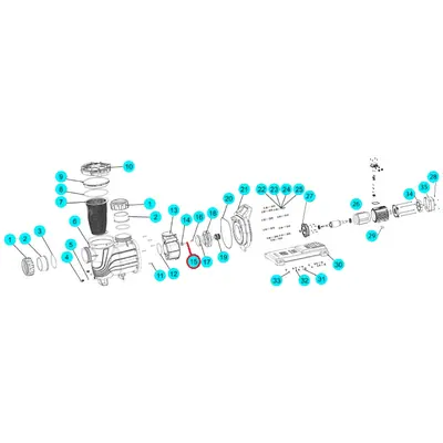 Пружинна шайба для насоса LX SLP d12, (J51010027 №15)