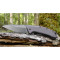 Ніж Kershaw Link Gray Aluminium Blackwash (1776GRYBW)