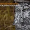 Ліхтар ручний Fenix PD35 V20 Camo Edition Cree XP-L HI LED