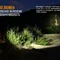 Ліхтар ручний Fenix PD35 V20 Camo Edition Cree XP-L HI LED