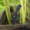 Ніж Spyderco Subway Bowie Black Blade, (FB48PBBK)