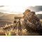 Штатив Vortex High Country II Tripod Kit (28,7 - 158,8 см) три секції