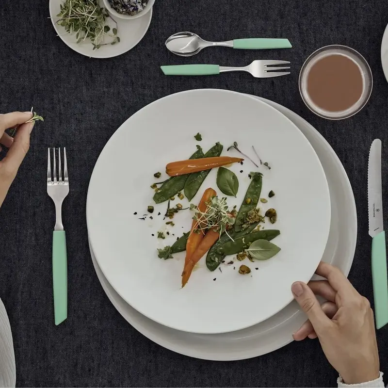 Набор кухонный Swiss Modern Table Set 12шт с мятн. ручкой (6 ножей tomato, 6 вилок) Набор кухонный Swiss Modern Table Set 12шт с мятн. ручкой (6 ножей tomato, 6 вилок)