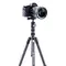 Штатив Vanguard Vesta TB 204CB (Vesta TB 204CB)