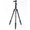 Штатив Vanguard Vesta TB 204CB (Vesta TB 204CB)