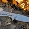 Ніж складаний Ruike P135-SF