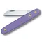 Ніж садовий Victorinox Floral 100мм,1функ,фіол.мат 3.9050.22 (блістер)