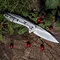 Ніж складаний Ruike P135-SF