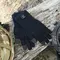 Рукавички водонепроникні Dexshell ToughShield розмір S (DG458NS) Рукавички водонепроникні Dexshell ToughShield розмір S (DG458NS)