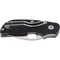 Ніж Spyderco Chicago, 440C, G-10 (C130GP)