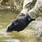 Рукавички водонепроникні Dexshell ToughShield розмір S (DG458NS) Рукавички водонепроникні Dexshell ToughShield розмір S (DG458NS)