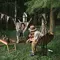 Крісло підвісне Naturehike NH22DC003, бежеве Крісло підвісне Naturehike NH22DC003, бежеве