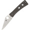 Ніж Spyderco Watu, Carbon Fiber/CPM20CV (C251CFP)