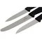Набір кухонний Victorinox SwissClassic Paring Set (6.7113.3G)