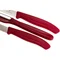 Набор кухонный Victorinox SwissClassic Paring Set 3шт с красной ручкой (Vx67111.31)