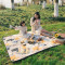 Килимок для пікніка Naturehike Picnic mat L 210*240 NH21FCD01 pet