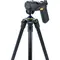 Штатив Vanguard Vesta 203AGH (Vesta 203AGH) Штатив Vanguard Vesta 203AGH (Vesta 203AGH)